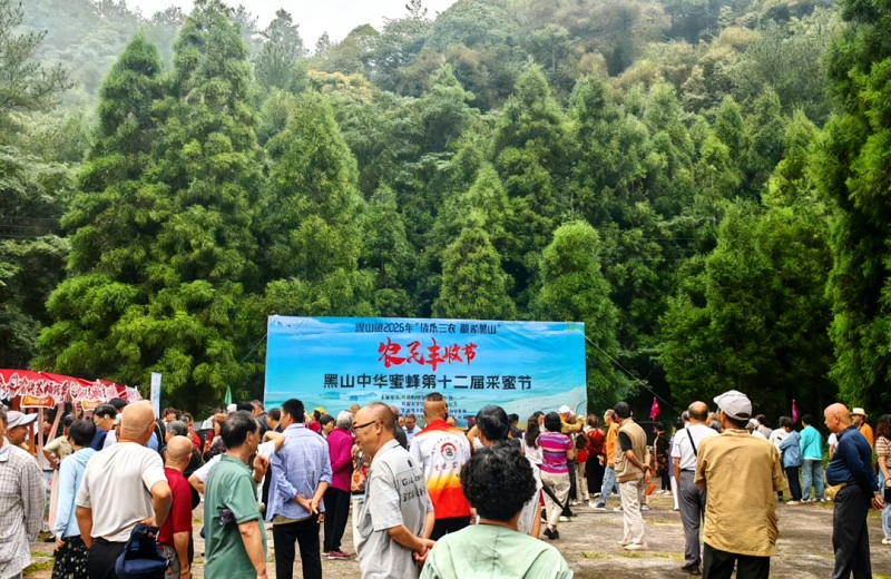 1793111720120748.jpg 1.jpg